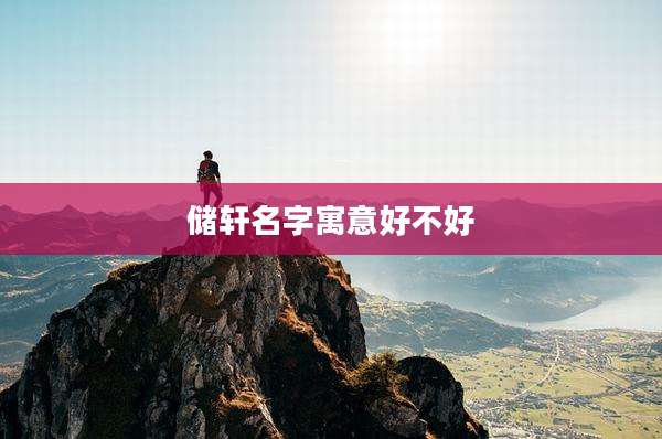 储轩名字寓意好不好