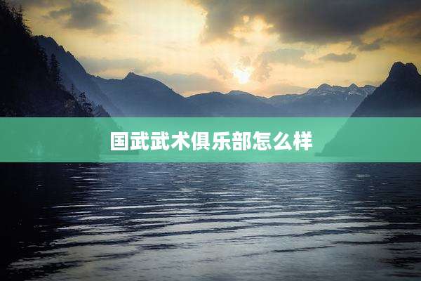 国武武术俱乐部怎么样