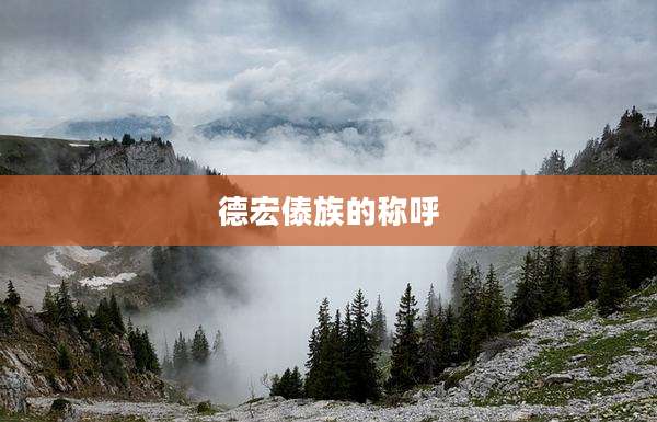 德宏傣族的称呼