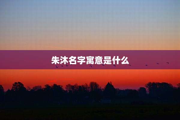 朱沐名字寓意是什么
