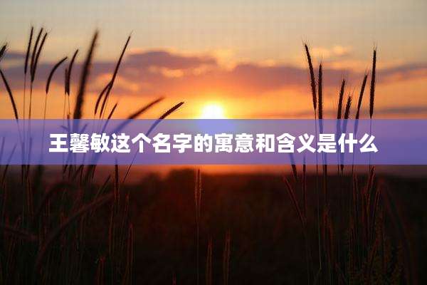 王馨敏这个名字的寓意和含义是什么