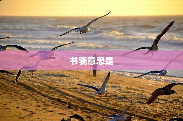 书骁意思是