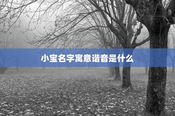 小宝名字寓意谐音是什么