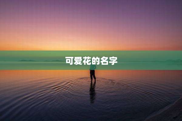 可爱花的名字