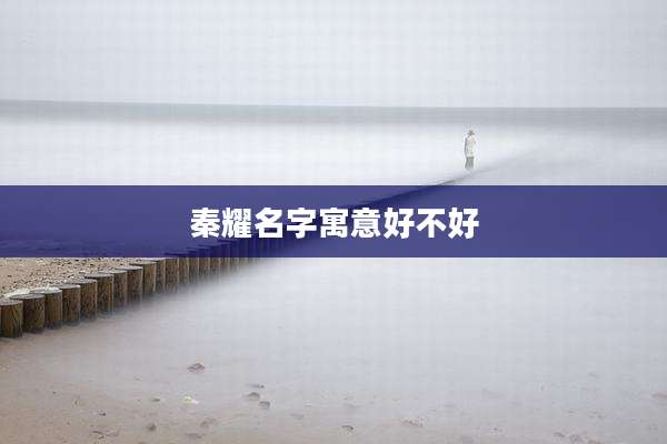 秦耀名字寓意好不好