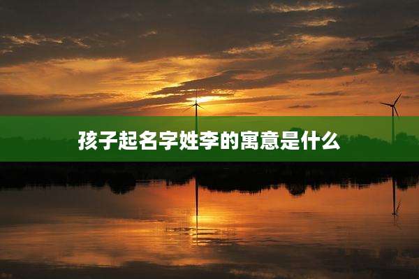 孩子起名字姓李的寓意是什么