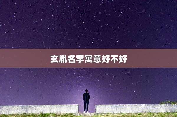 玄胤名字寓意好不好