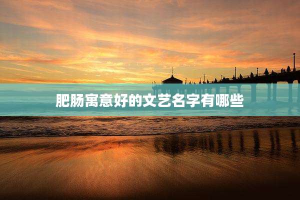 肥肠寓意好的文艺名字有哪些