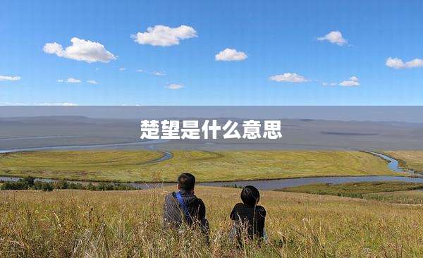 楚望是什么意思