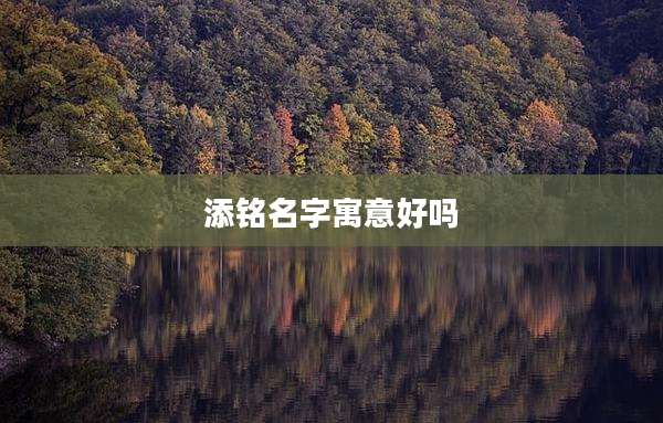 添铭名字寓意好吗