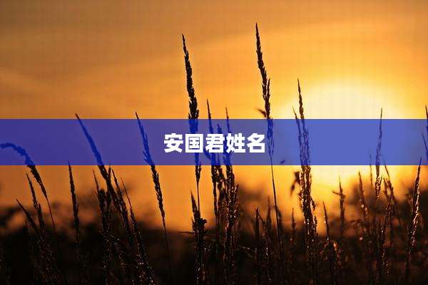 安国君姓名