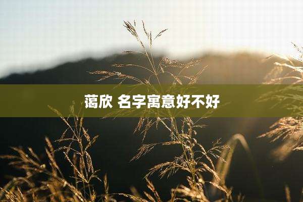 蔼欣 名字寓意好不好