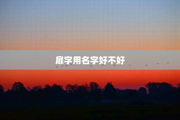扉字用名字好不好