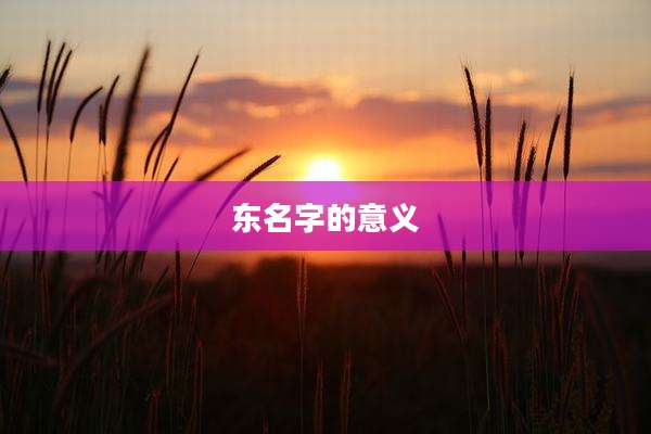 东名字的意义