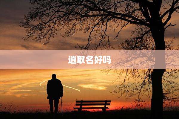 逍取名好吗