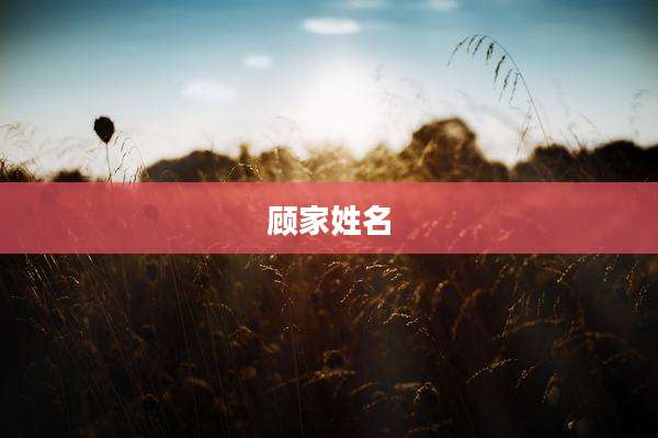 顾家姓名