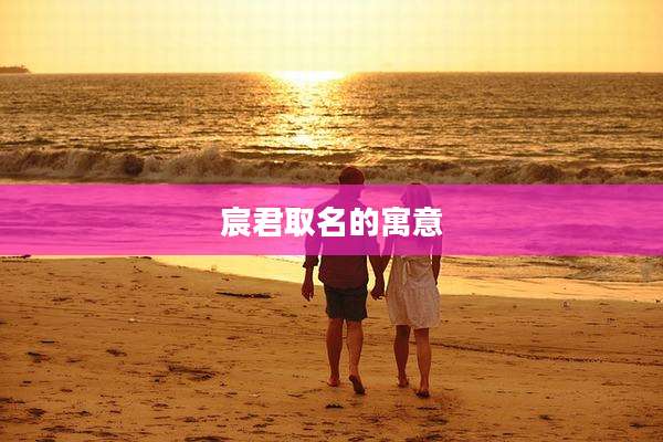 宸君取名的寓意