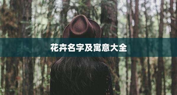 花卉名字及寓意大全