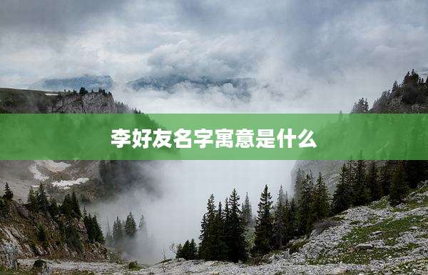 李好友名字寓意是什么