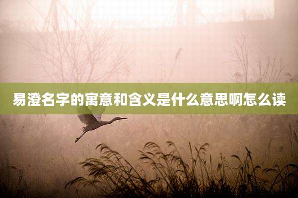 易澄名字的寓意和含义是什么意思啊怎么读