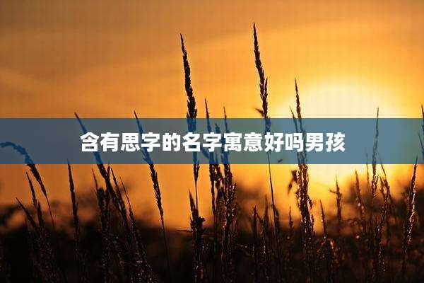 含有思字的名字寓意好吗男孩