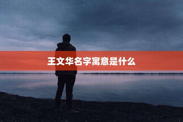 王文华名字寓意是什么