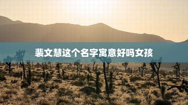 裴文慧这个名字寓意好吗女孩