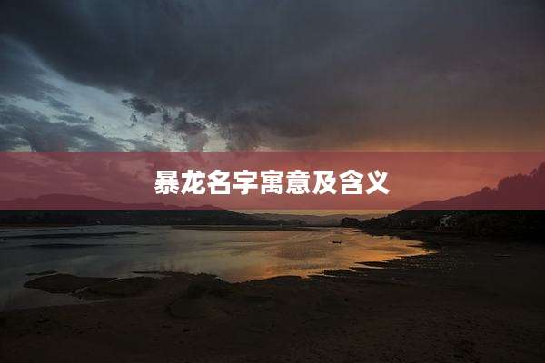 暴龙名字寓意及含义