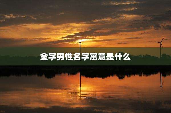 金字男性名字寓意是什么