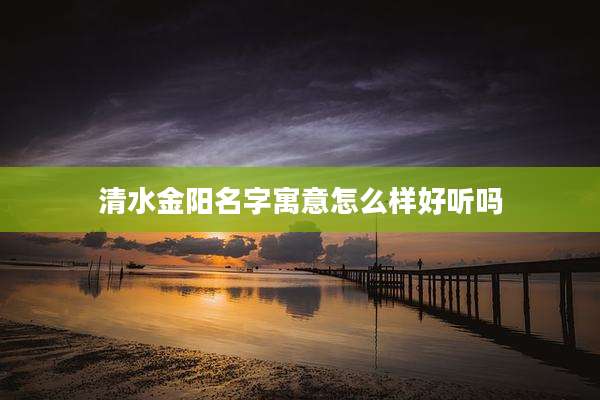 清水金阳名字寓意怎么样好听吗