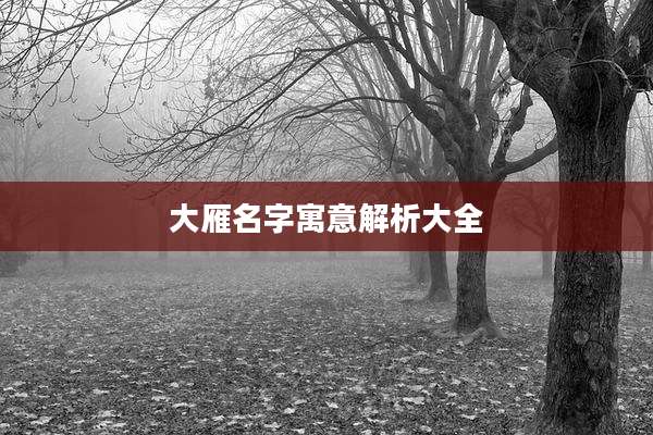大雁名字寓意解析大全