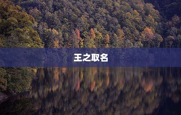 王之取名