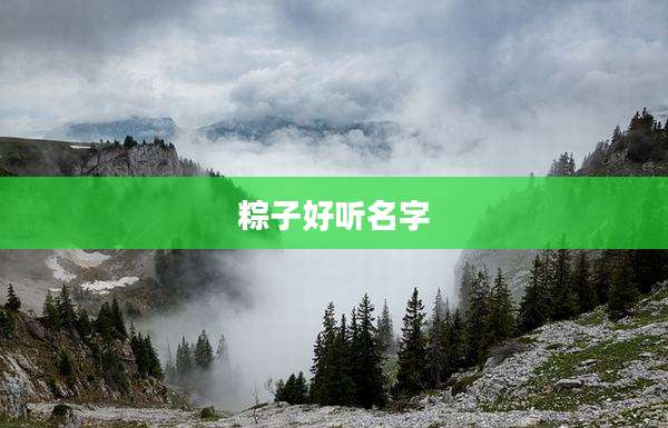 粽子好听名字