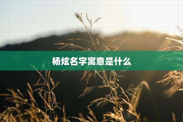 杨炫名字寓意是什么