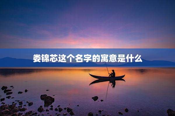 娄锦芯这个名字的寓意是什么