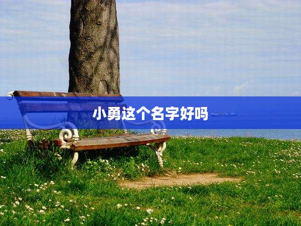 小勇这个名字好吗