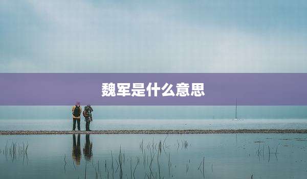 魏军是什么意思