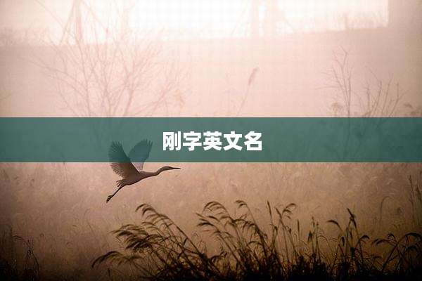 刚字英文名
