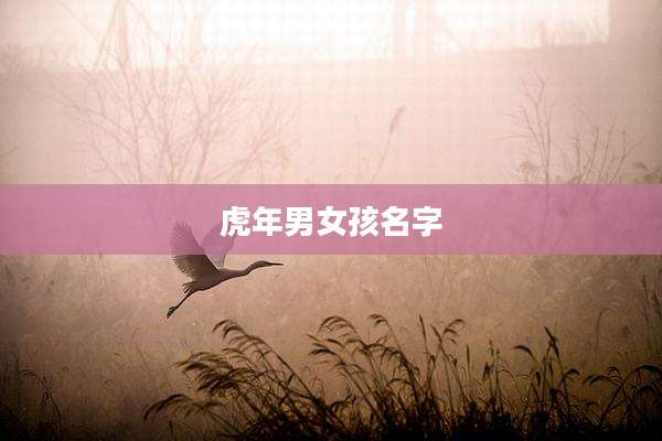 虎年男女孩名字