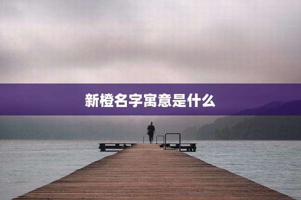 新橙名字寓意是什么