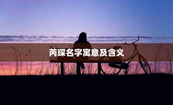 芮琛名字寓意及含义
