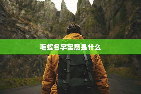 毛蝶名字寓意是什么