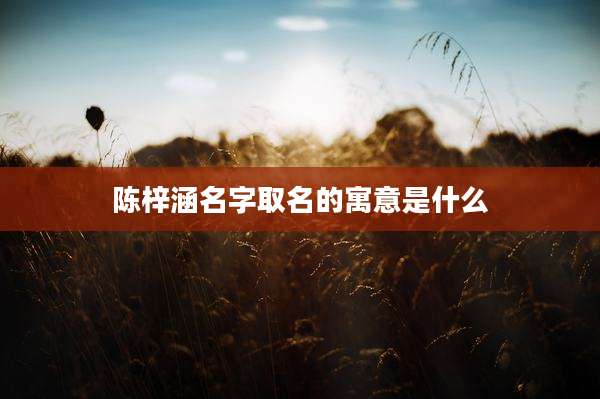 陈梓涵名字取名的寓意是什么