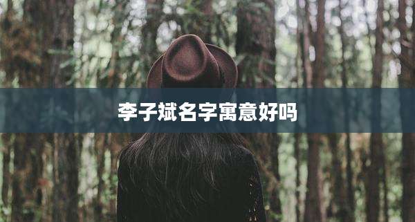 李子斌名字寓意好吗