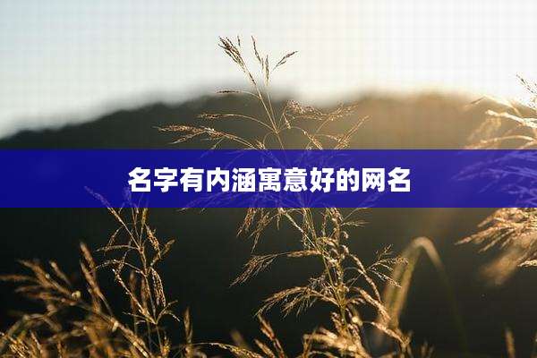 名字有内涵寓意好的网名