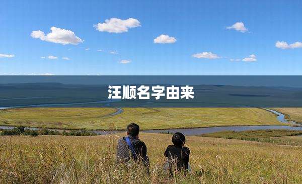 汪顺名字由来