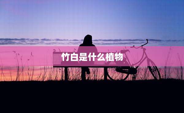 竹白是什么植物