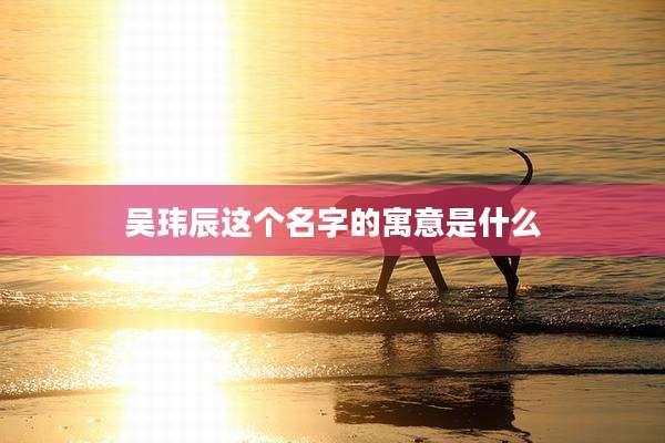 吴玮辰这个名字的寓意是什么