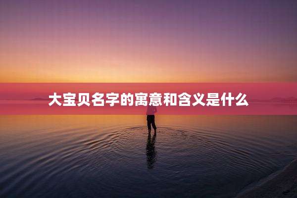 大宝贝名字的寓意和含义是什么