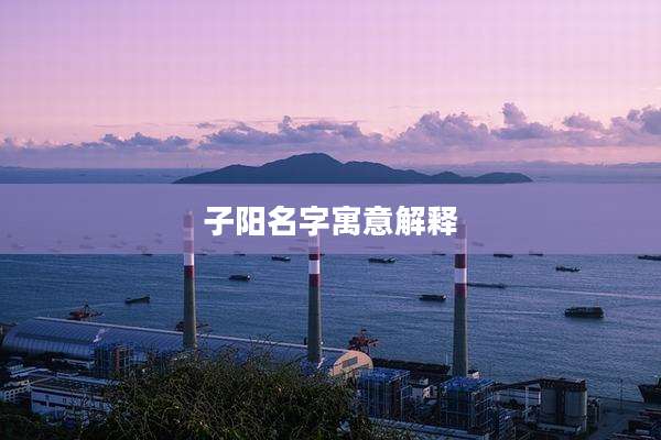 子阳名字寓意解释